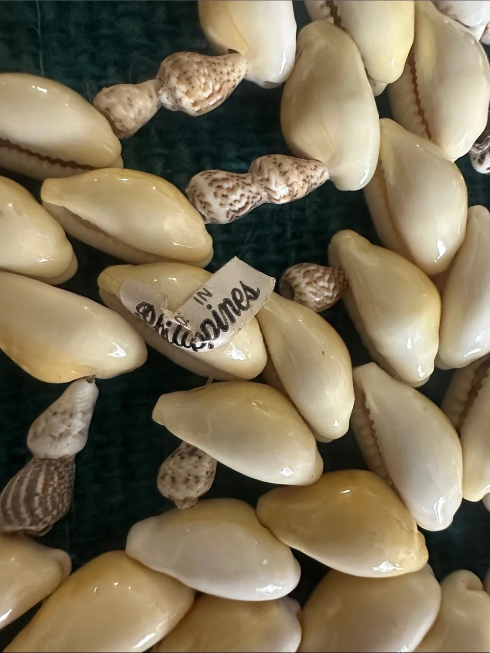 Vintage 70s Handcrafted Cowrie Trivet 9”